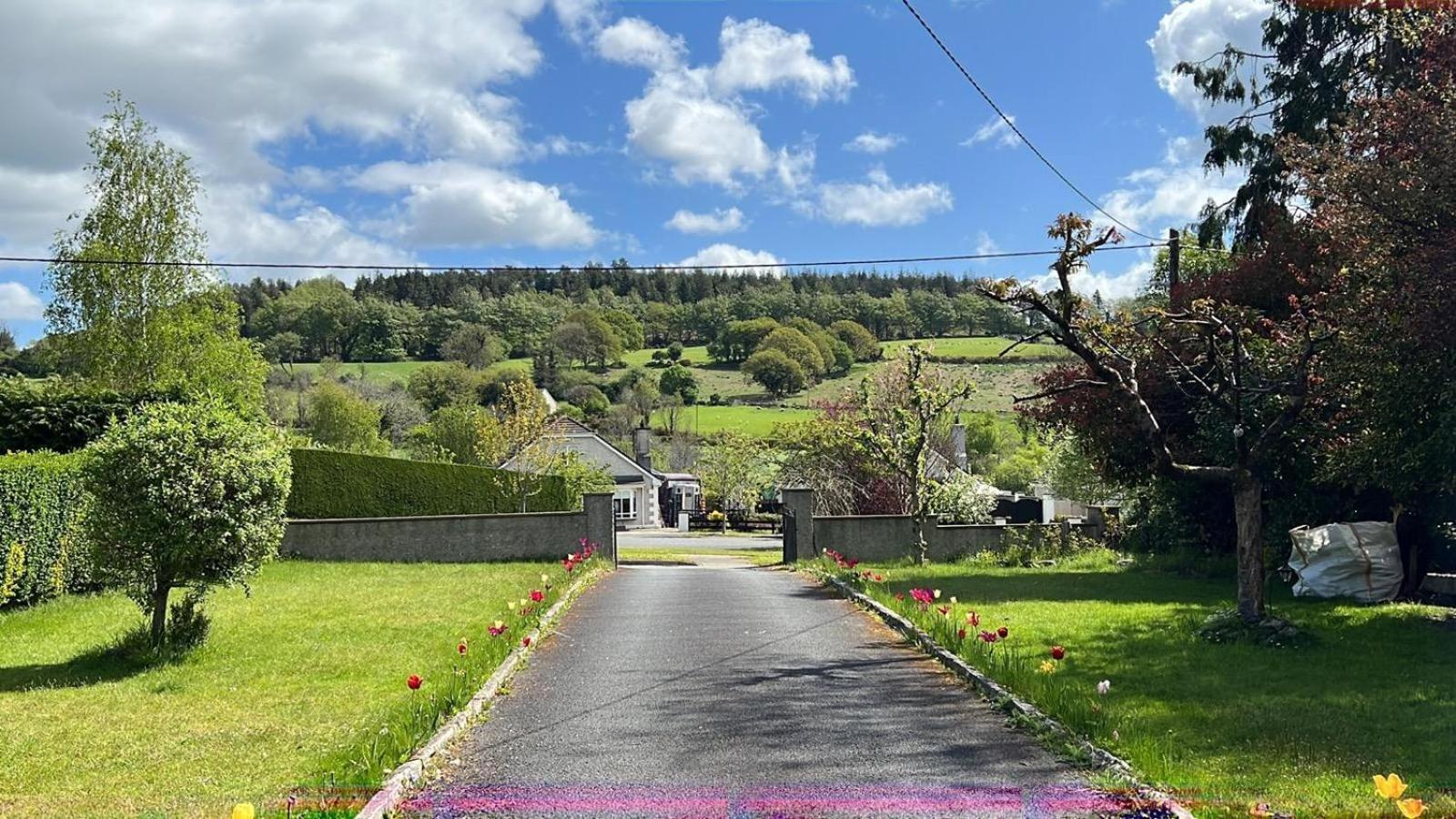 Avonbeg Cottages 2 Bed 1 Bath Accommodate 3 Guests Rathdrum Bagian luar foto