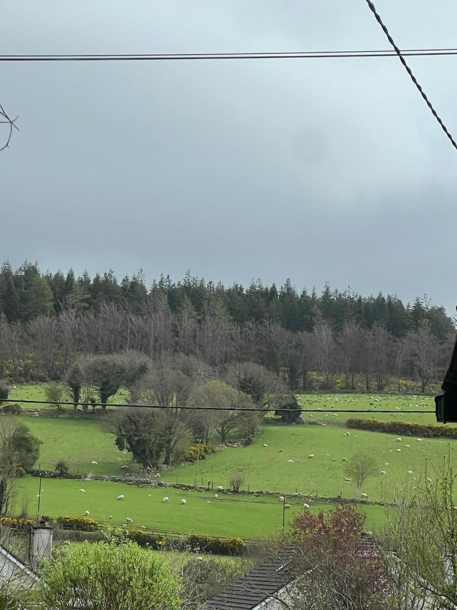 Avonbeg Cottages 2 Bed 1 Bath Accommodate 3 Guests Rathdrum Bagian luar foto